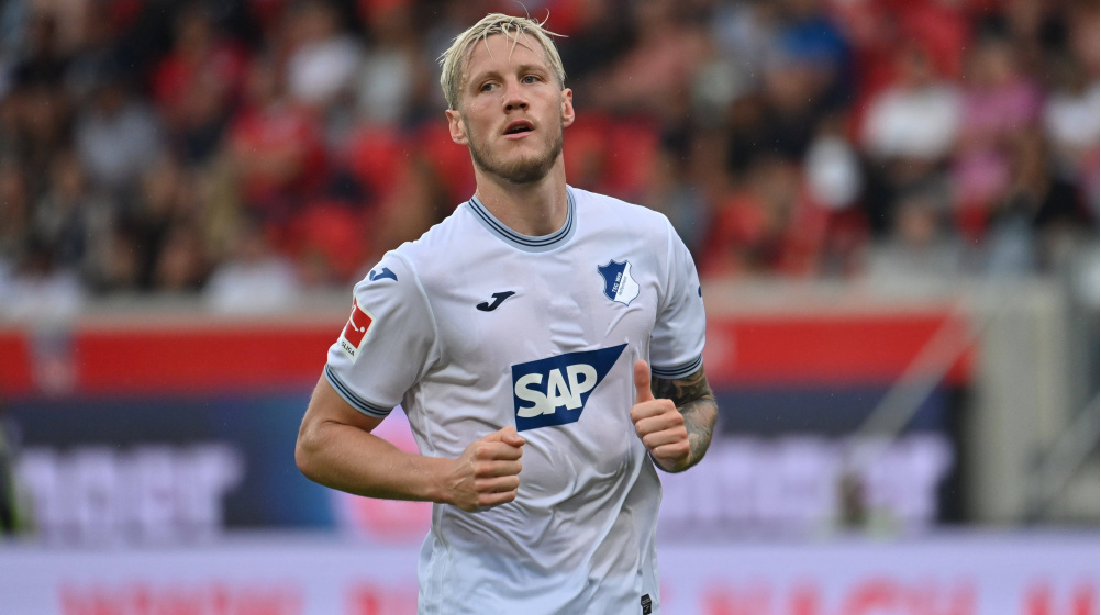 Wout Wenghorst Polska Holandia
